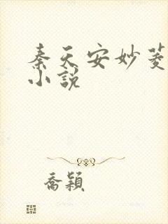 秦天安妙菱修仙小说封面