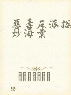 恶毒反派总被爆炒海棠封面