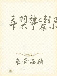 天羽被c到高潮下不了床小说封面