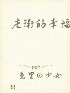 老卫的幸福生活封面