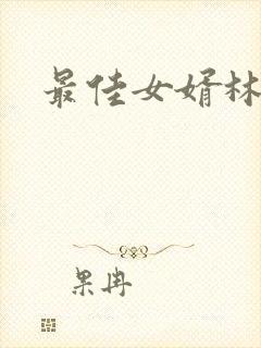 最佳女婿林凡封面