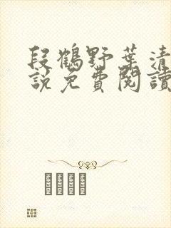 段鹤野叶清璃小说免费阅读最新章节