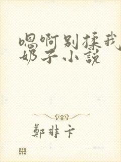 嗯啊别揉我的大奶子小说