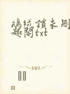 鹅绒锁未删除笔趣阁txt