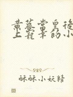 黄蓉当皇后被皇上宠幸的小说叫什么封面