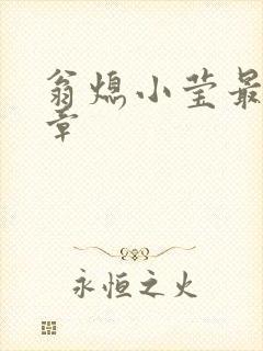 翁熄小莹最新节章