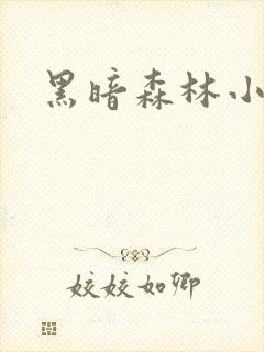 黑暗森林小说