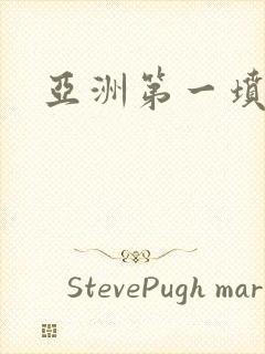 亚洲第一坟封面