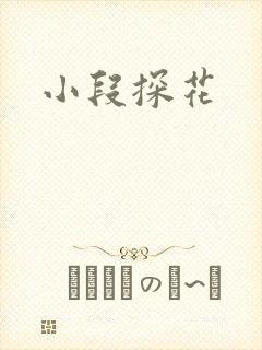 小段探花封面