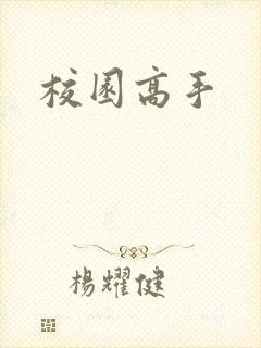 校园高手