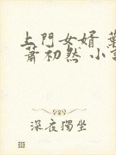 上门女婿 叶辰 萧初然 小说