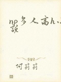np多人高h小说