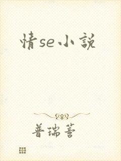 情se小说