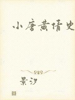 小唐黄倩史