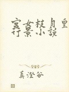 宫女枝月皇上裴行景小说