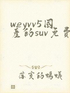 weyvv5国产的suv免费