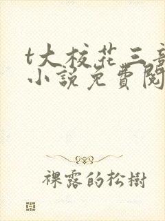 t大校花三部曲小说免费阅读全文