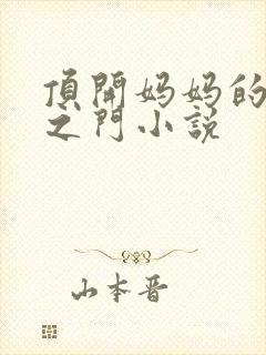 顶开妈妈的生命之门小说