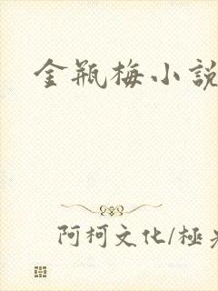 金瓶梅小说在线封面