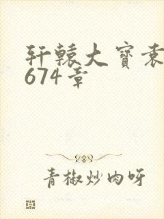 轩辕大宝袁雪妃674章