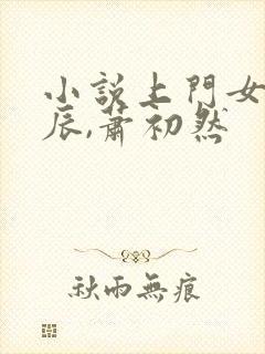 小说上门女婿叶辰,萧初然