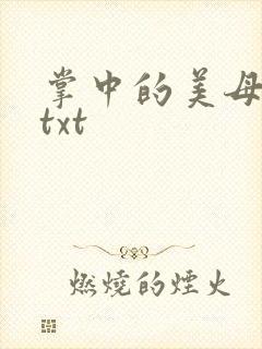 掌中的美母版主txt封面