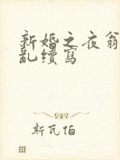 新婚之夜翁莹情乱续写
