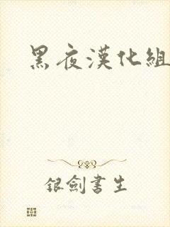 黑夜汉化组