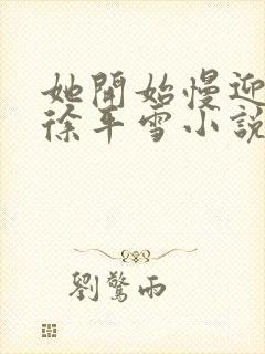 她开始慢迎迎合徐平雪小说封面