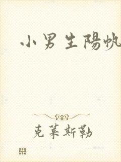 小男生阳帆封面