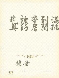 我被带到满是玩具的房间挑调游戏