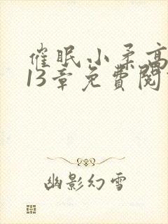 催眠小柔高达第13章免费阅读封面