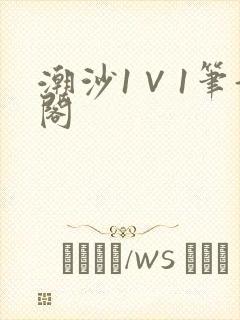 潮沙1∨1笔趣阁