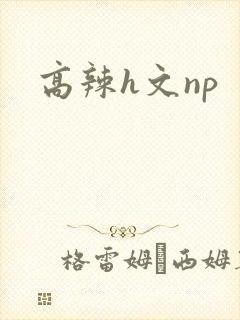 高辣h文np封面