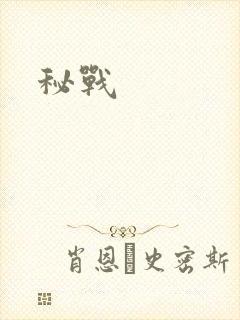 秘战