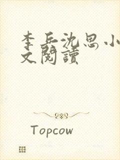 李兵沈思小说全文阅读