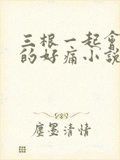 三根一起会坏掉的好痛小说