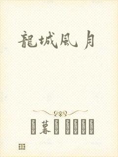 龙城风月封面