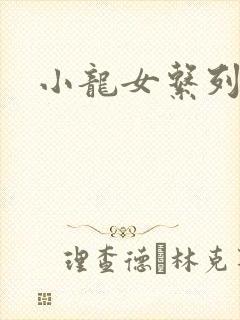 小龙女系列小说
