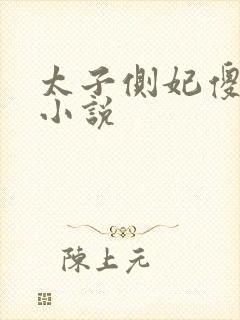 太子侧妃傻乎乎小说封面