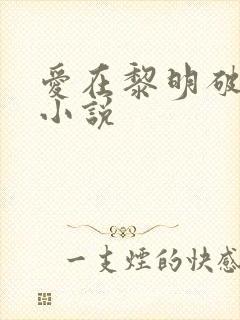 爱在黎明破晓前小说