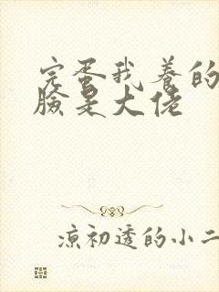 完蛋我养的小白脸是大佬封面