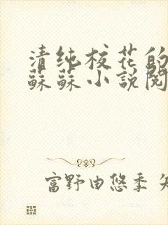 清纯校花的日常苏苏小说阅读全文