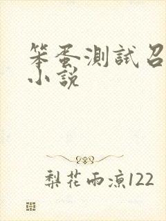 笨蛋测试召唤兽小说