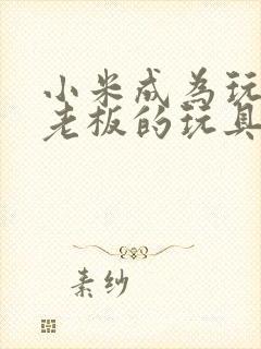 小米成为玩具店老板的玩具