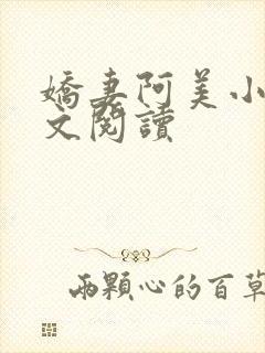 娇妻阿美小说全文阅读