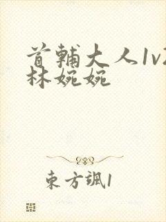 首辅大人1v2林婉婉封面