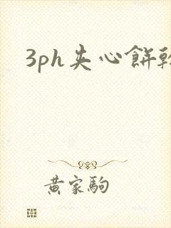 3ph夹心饼干封面