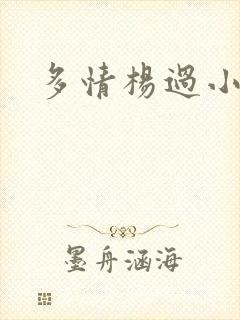 多情杨过小说封面