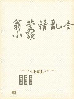 翁莹情乱全部篇小说封面
